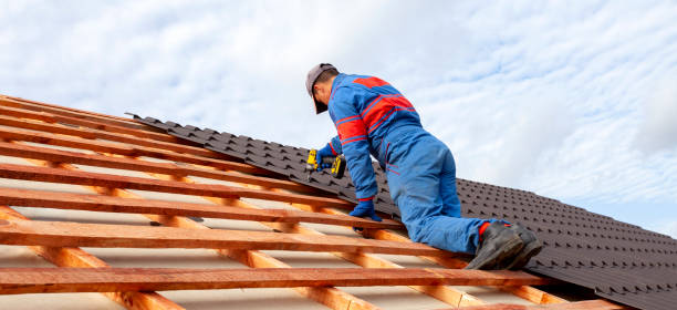 Best Roof Coating and Sealing  in Pine Castle, FL